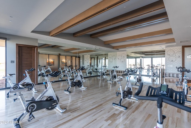 workout area featuring light hardwood / wood-style floors