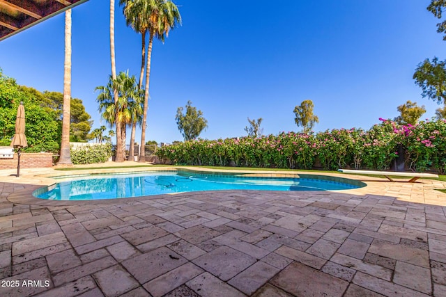 8005 N Via De Lago, Scottsdale, AZ 85258 - view of pool featuring a patio and a fenced backyard