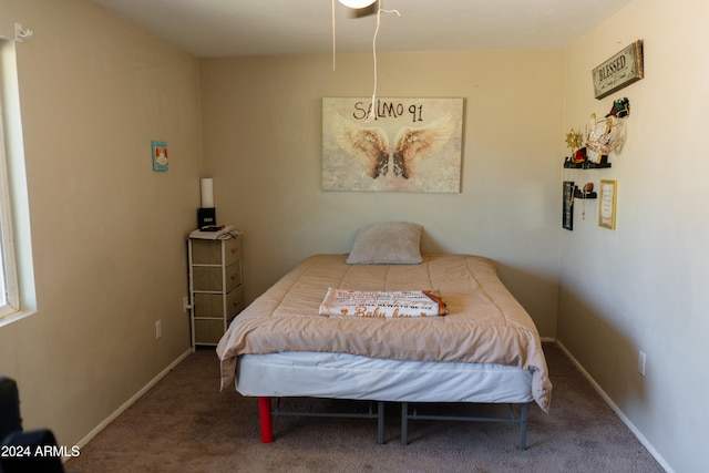 view of carpeted bedroom