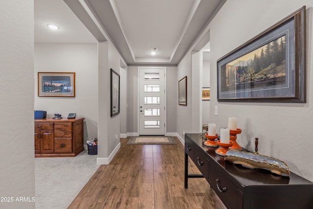 entrance foyer with wood-type flooring