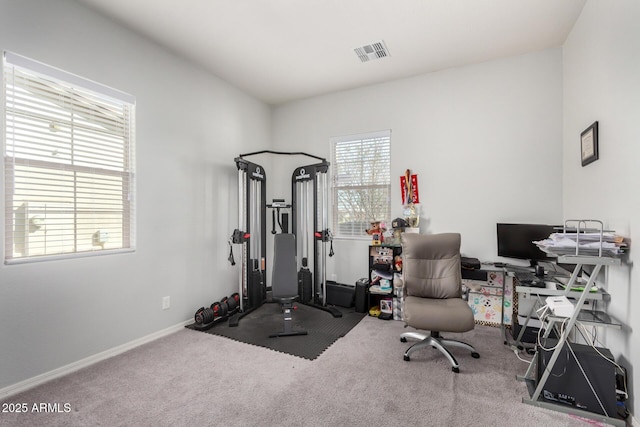 workout room featuring carpet flooring