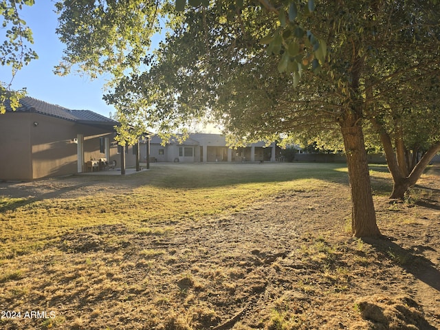 view of yard featuring a patio area