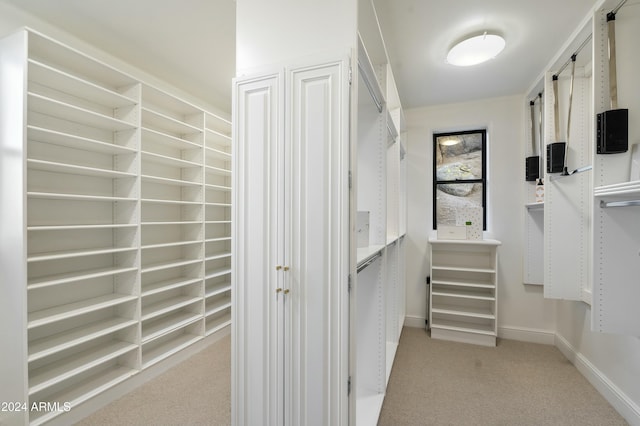 walk in closet with light carpet