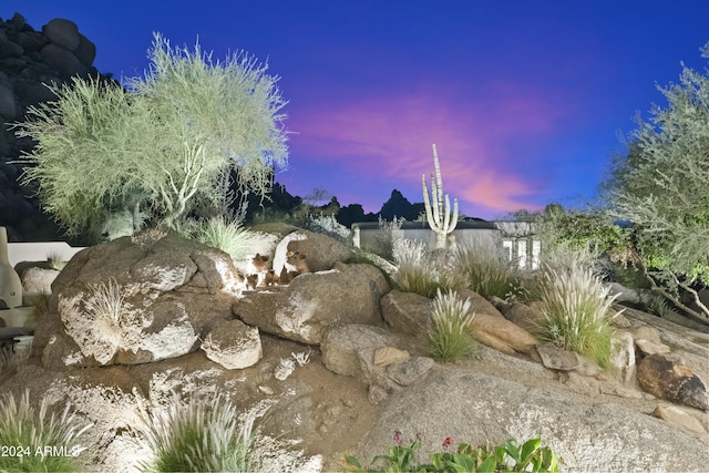 view of yard at dusk