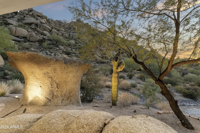 view of nature at dusk