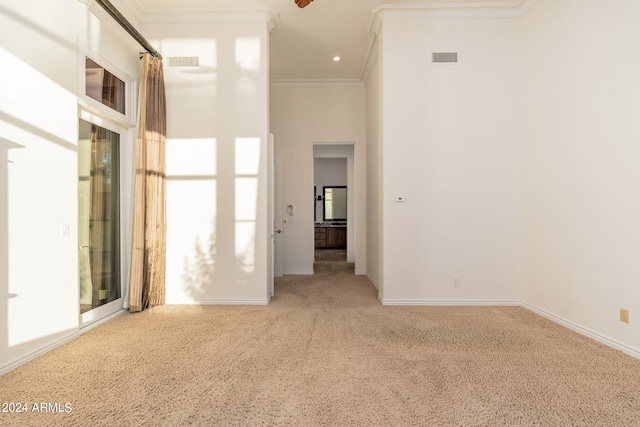 empty room featuring ornamental molding and carpet