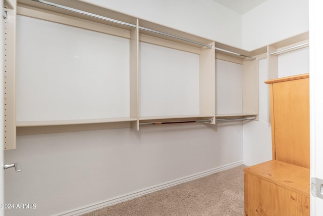 walk in closet featuring carpet floors