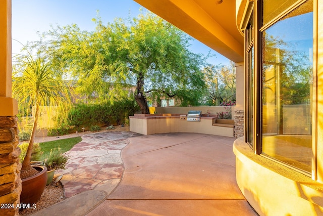 view of patio featuring area for grilling and an outdoor kitchen