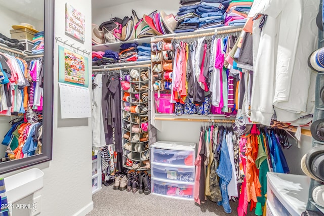 spacious closet featuring carpet floors