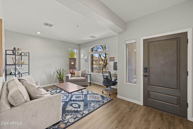 living room featuring hardwood / wood-style floors