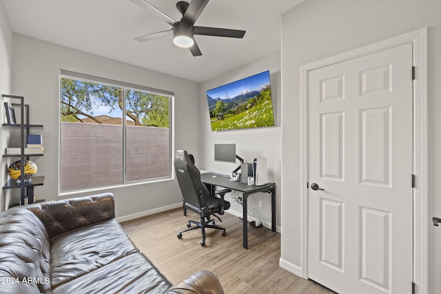 office featuring light wood-type flooring and ceiling fan