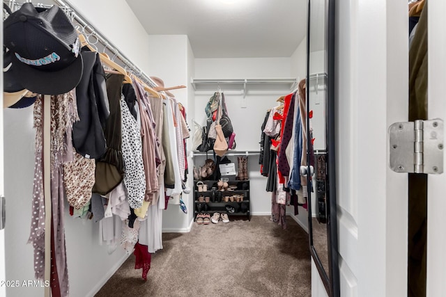 spacious closet with carpet flooring