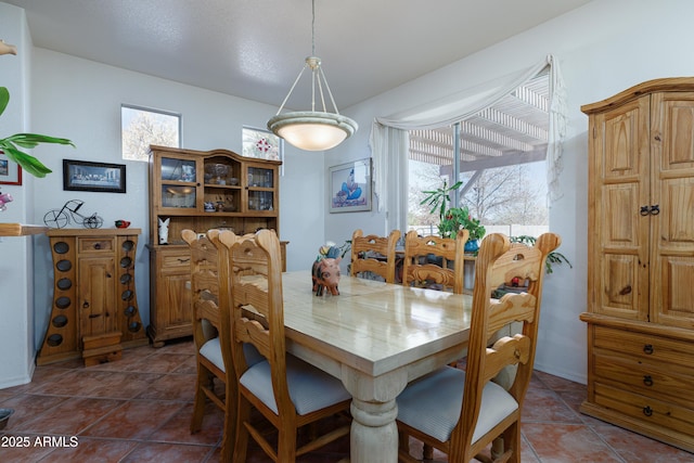 dining space featuring dark tile patterned flooring