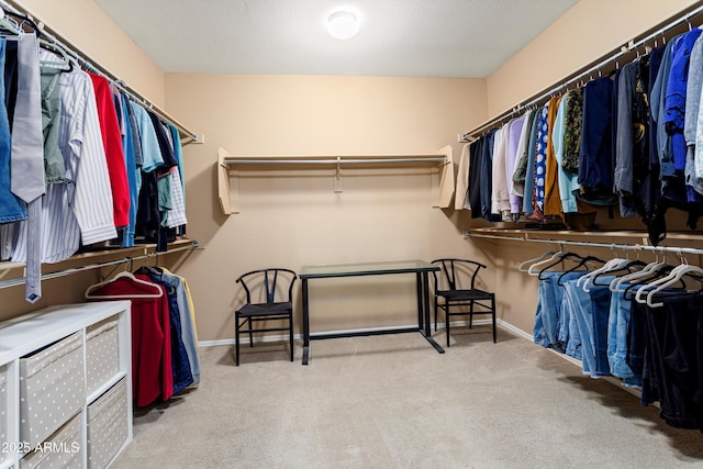 spacious closet featuring carpet