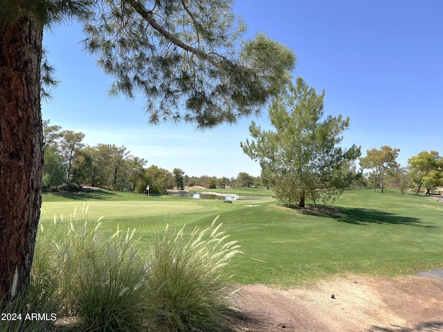 view of home's community featuring a lawn