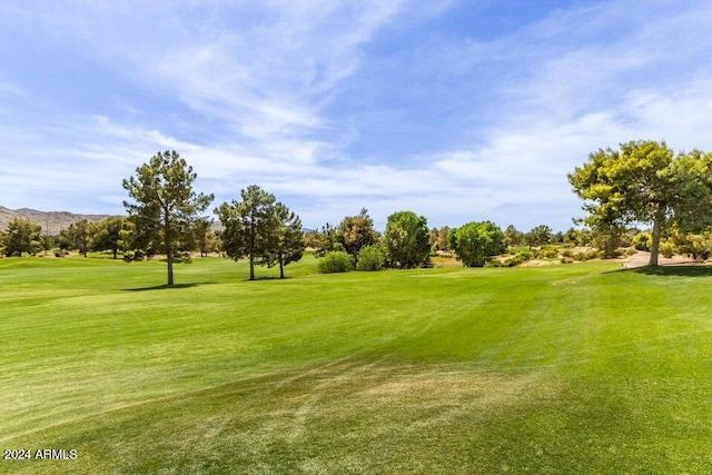 view of community featuring a yard