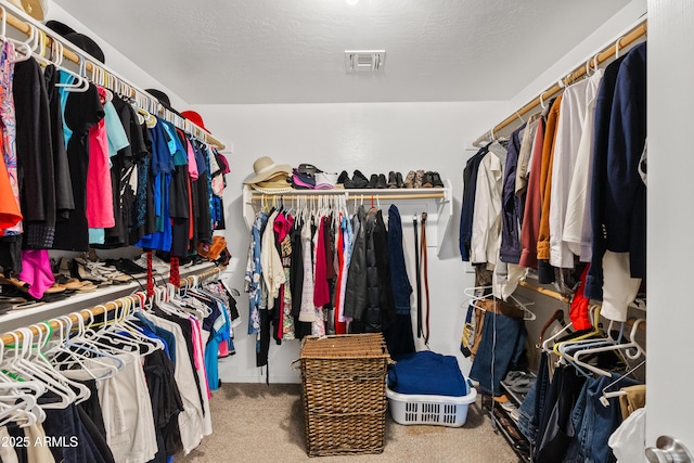 4976 E Thunderbird Dr, Chandler, AZ 85249 - walk in closet with carpet