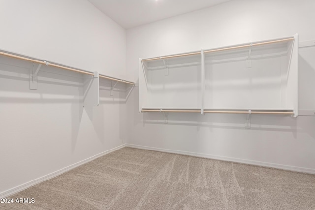 spacious closet featuring carpet flooring