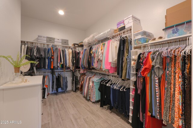 view of walk in closet