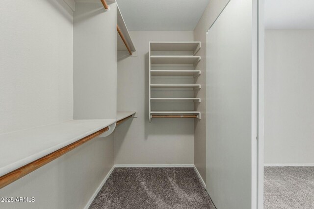 21621 N 48th Pl, Phoenix, AZ 85054 - spacious closet with carpet