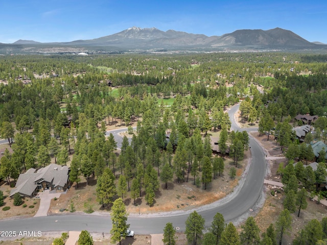 3658 S Clubhouse Cir Unit 247, Flagstaff AZ, 86005 land for sale