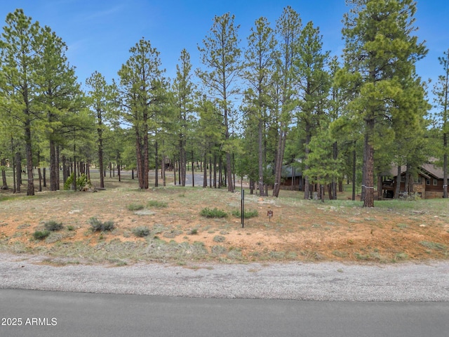 Listing photo 3 for 3658 S Clubhouse Cir Unit 247, Flagstaff AZ 86005