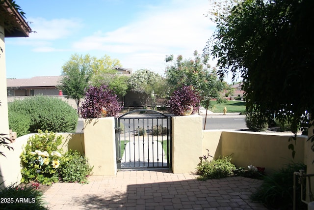 15387 W Columbine Dr, Surprise, AZ 85379 - view of gate featuring a fenced front yard