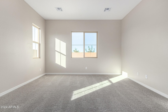 empty room with a wealth of natural light and carpet floors