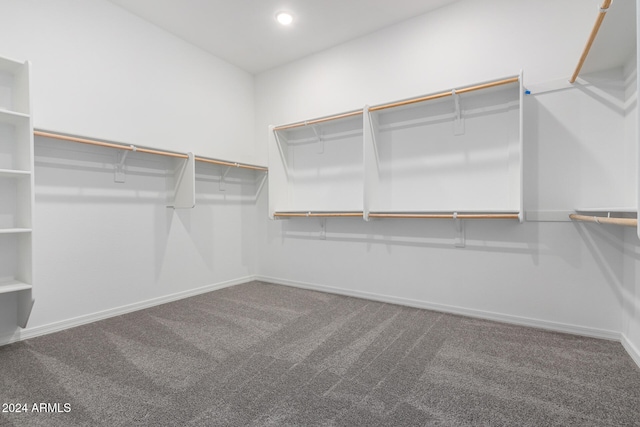 walk in closet with carpet floors