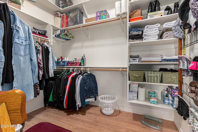 spacious closet with light wood-type flooring