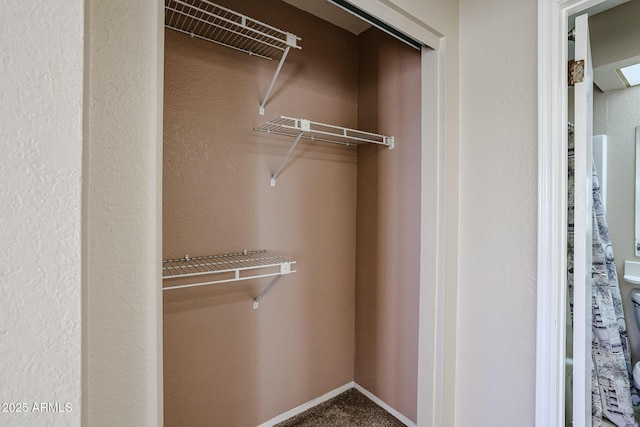 view of closet