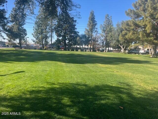 view of community with a yard