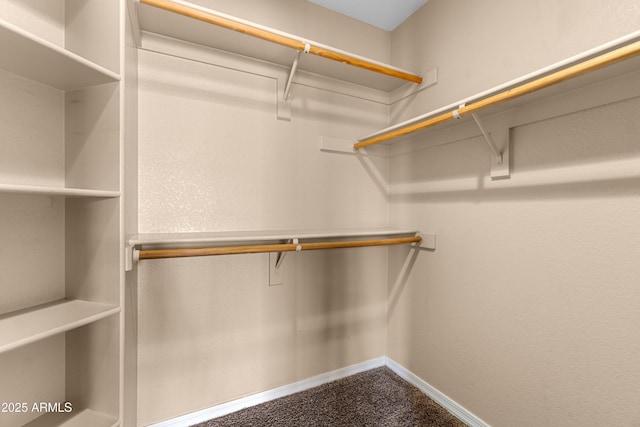 3235 E Camelback Rd Unit 124, Phoenix, AZ 85018 - walk in closet featuring dark carpet