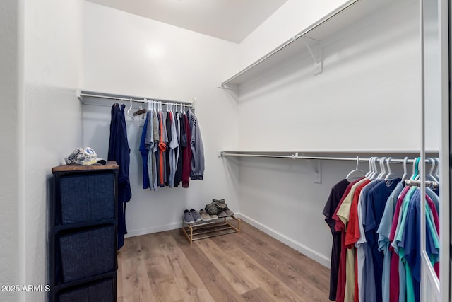 walk in closet featuring hardwood / wood-style flooring