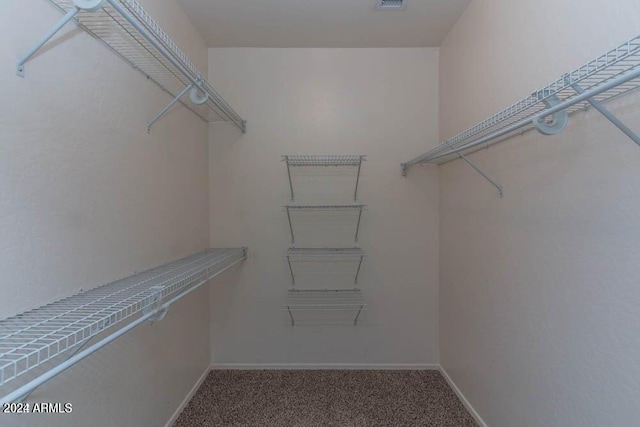 spacious closet with carpet floors