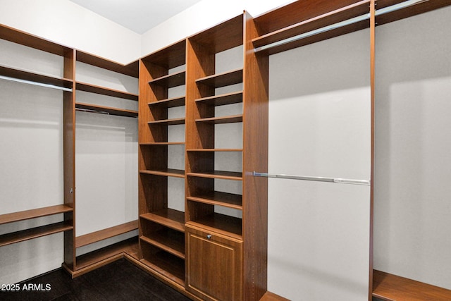 6310 E Dove Valley Rd, Cave Creek, AZ 85331 - view of spacious closet