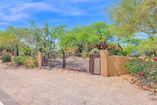 6310 E Dove Valley Rd, Cave Creek, AZ 85331 - view of gate