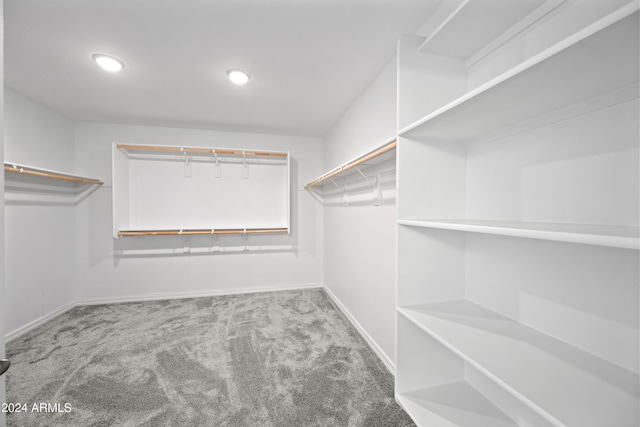 walk in closet featuring carpet