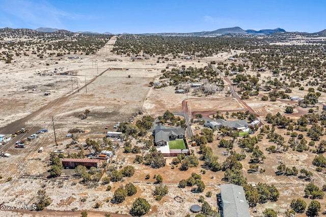 birds eye view of property featuring a mountain view