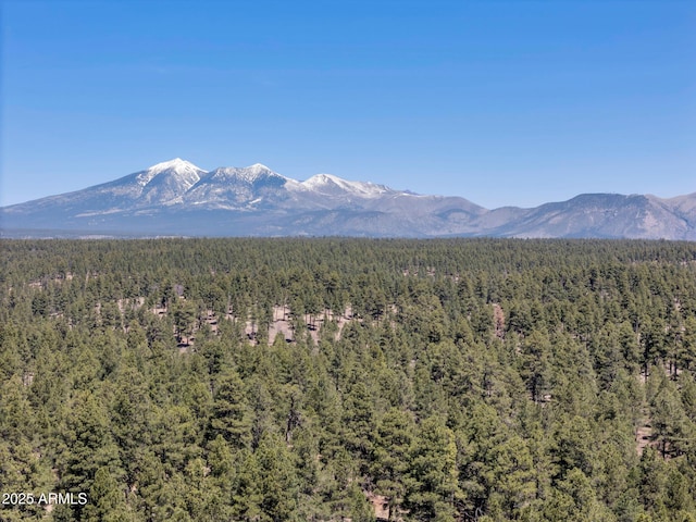 mountain view featuring a forest view