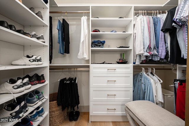 8068 E Del Trigo Rd, Scottsdale, AZ 85258 - spacious closet featuring light wood-style floors