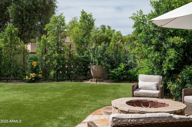 8068 E Del Trigo Rd, Scottsdale, AZ 85258 - view of green lawn with a fire pit