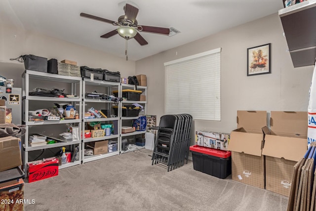 storage area with ceiling fan