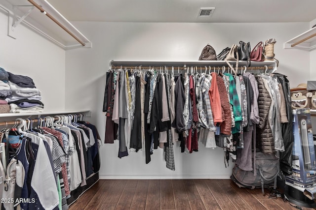 spacious closet with hardwood / wood-style flooring