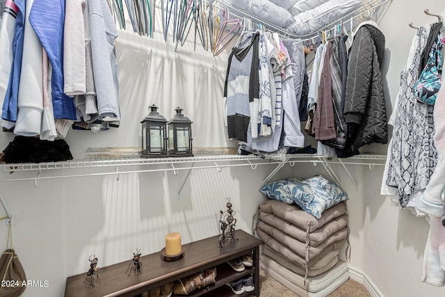 spacious closet with carpet floors