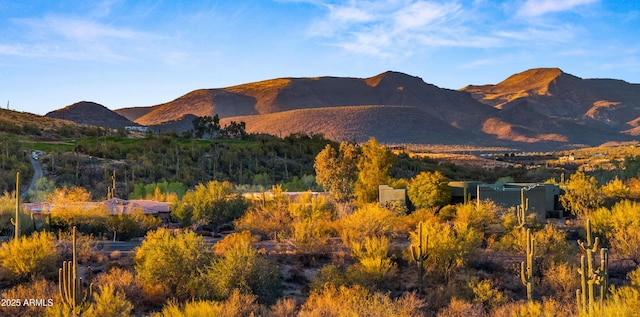 view of mountain feature