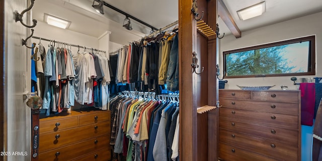 view of walk in closet