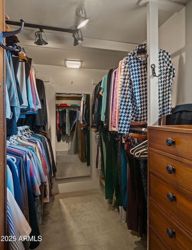 walk in closet with carpet