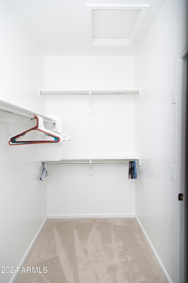 walk in closet with carpet floors