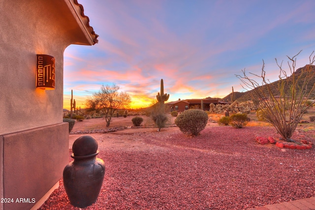 view of yard at dusk